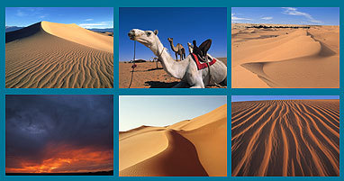 Dune and Desert Screenshot